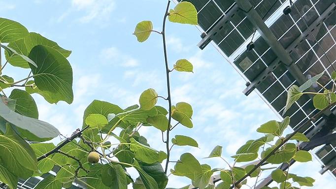 888���š����й������ٷ���վ